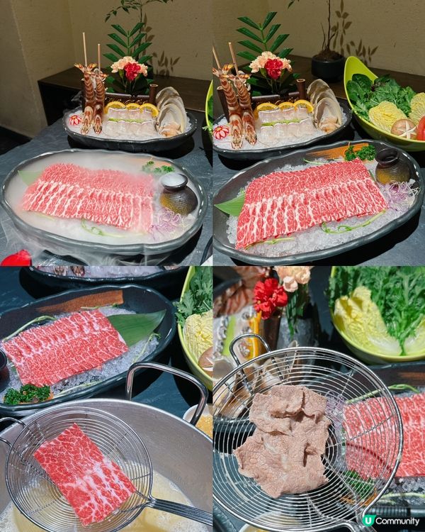 深圳花膠雞火鍋鼻祖😍 火璽•堯