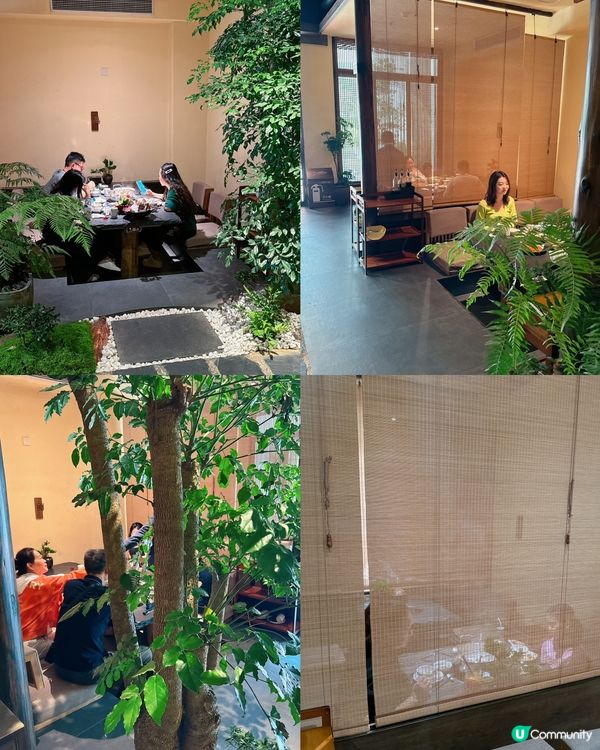 深圳花膠雞火鍋鼻祖😍 火璽•堯