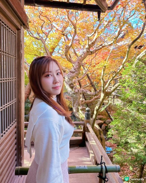 京都永觀堂禪林寺🍁紅葉🍁