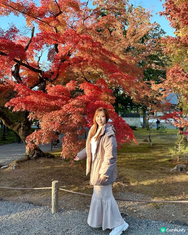 京都永觀堂禪林寺🍁紅葉🍁