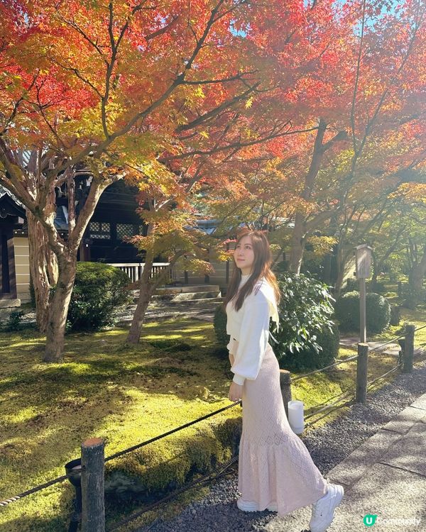 京都永觀堂禪林寺🍁紅葉🍁