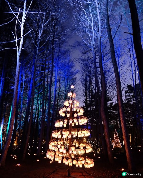 輕井澤必到聖誕打卡熱點🎄