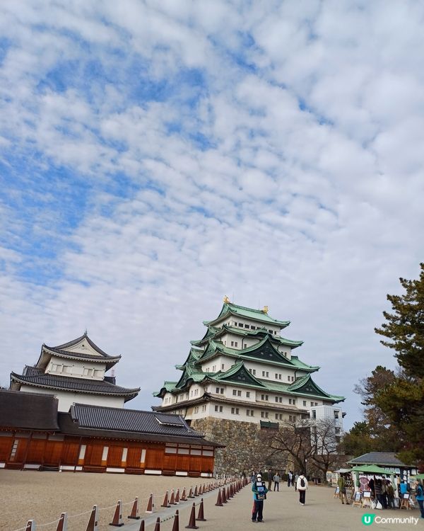 名古屋城金箔雪糕