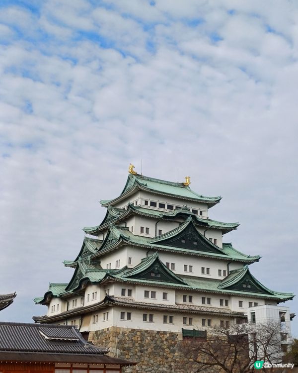 名古屋城金箔雪糕