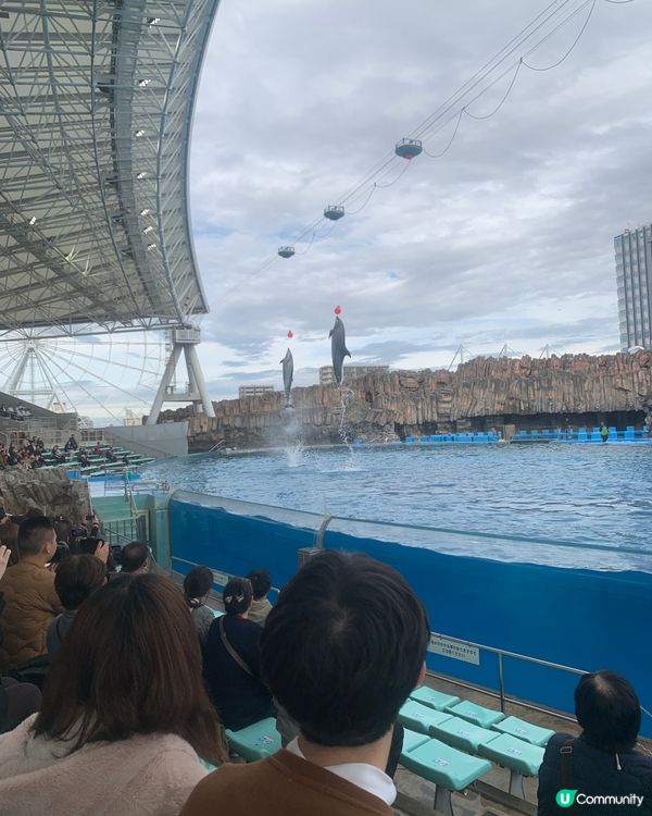 放慢腳步行水族館