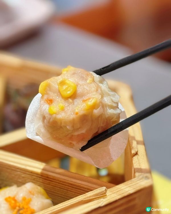 📌 觀塘│龍點心│再訪點心同樣出色滋味