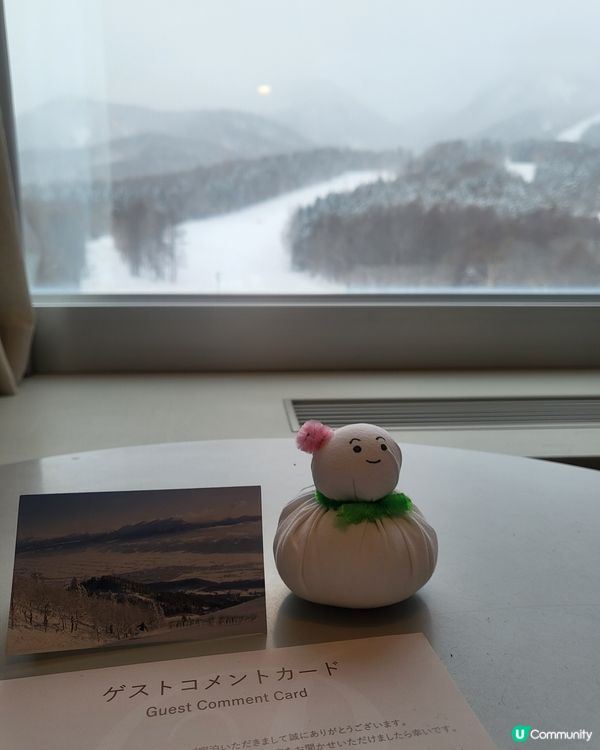 ski in ski out hotel