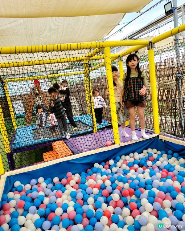 {高CP值圍爐煮茶親子農莊} 