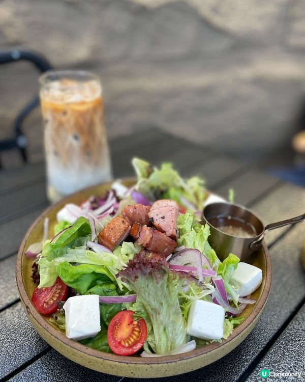 帶埋狗狗偽camping日記