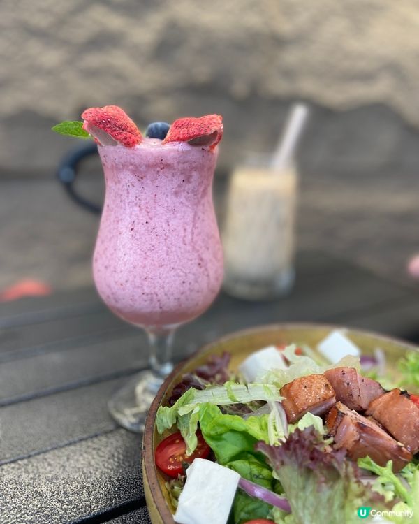 帶埋狗狗偽camping日記