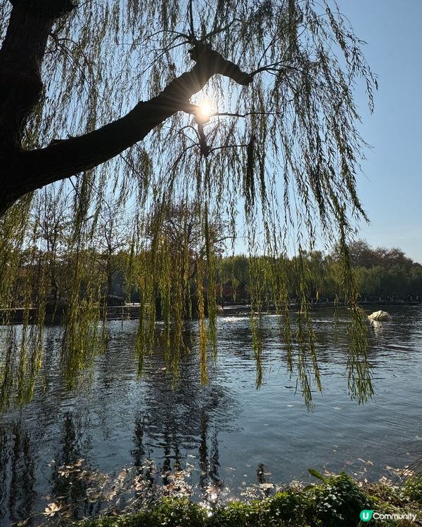 早上寧靜的西湖