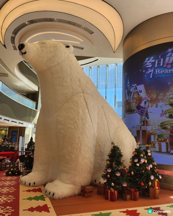 裕民坊有冬日熊，非常可愛，打卡一流