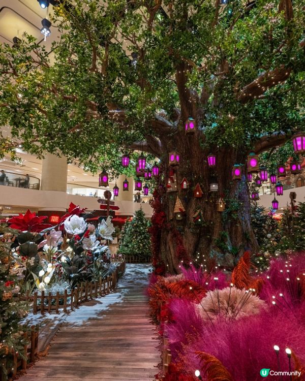 😍🎄全港最靚既聖誕🎄商場燈飾 - 出現在城市中的「精靈森林」