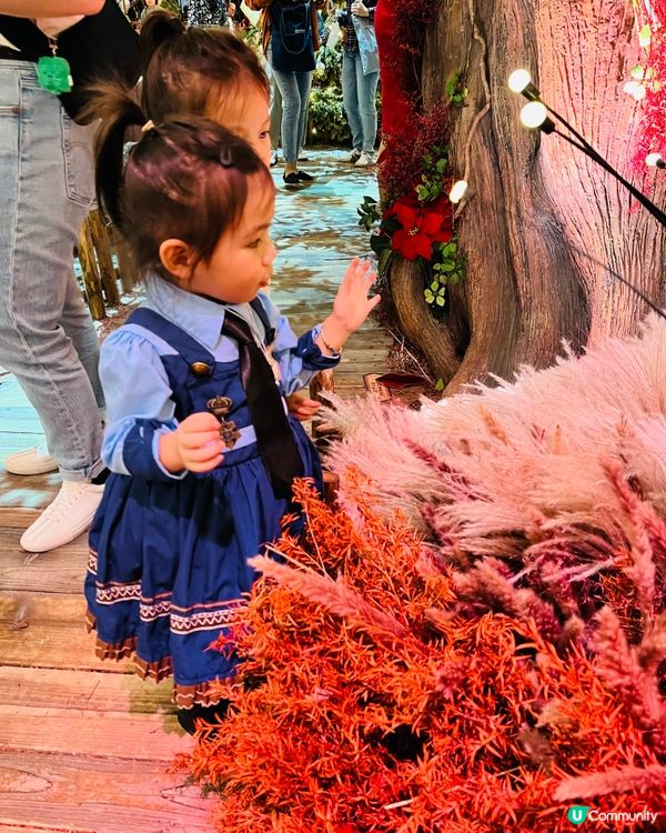 😍🎄全港最靚既聖誕🎄商場燈飾 - 出現在城市中的「精靈森林」