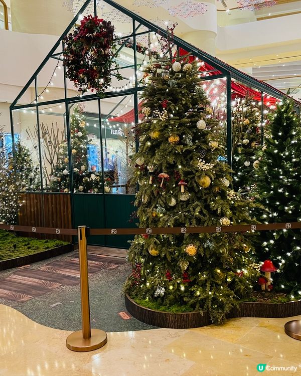😍🎄全港最靚既聖誕🎄商場燈飾 - 出現在城市中的「精靈森林」