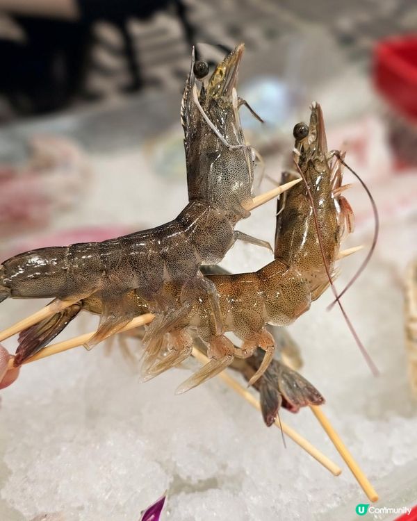 🦞生猛海鮮火鍋