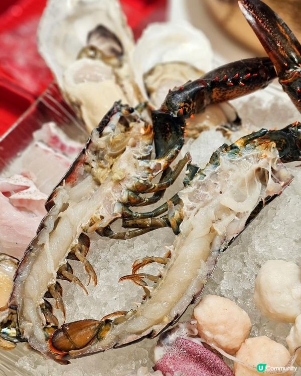 🦞生猛海鮮火鍋