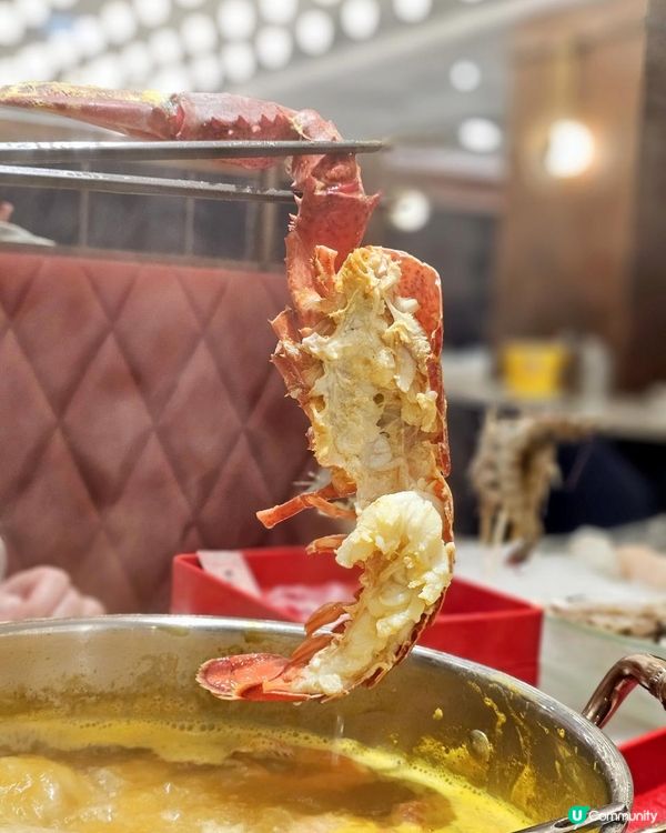 🦞生猛海鮮火鍋