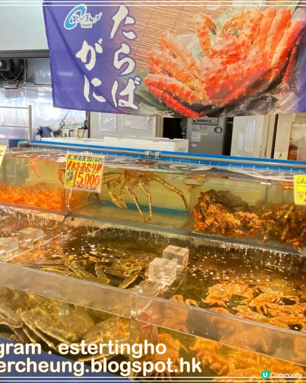 札幌市中央卸売市場 場外市場 💕 食長腳蟹 🦀 海鮮丼 🍱