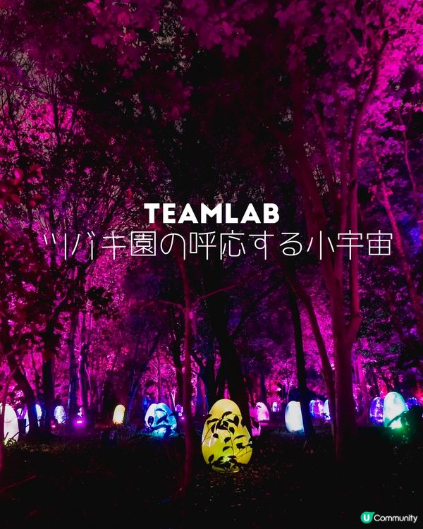 大阪戶外Teamlab-突破物質界限嘅藝術展