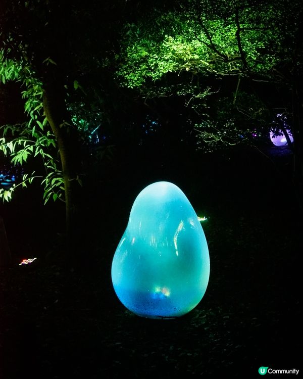 大阪戶外Teamlab-突破物質界限嘅藝術展