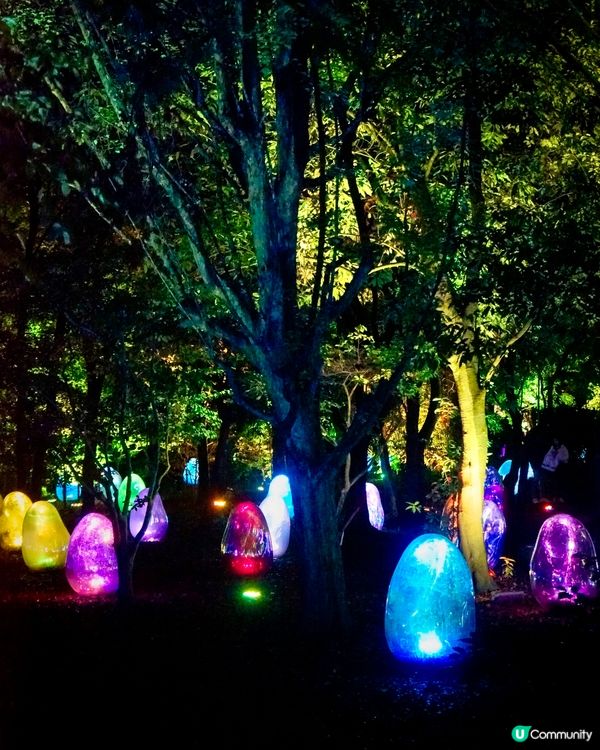 大阪戶外Teamlab-突破物質界限嘅藝術展