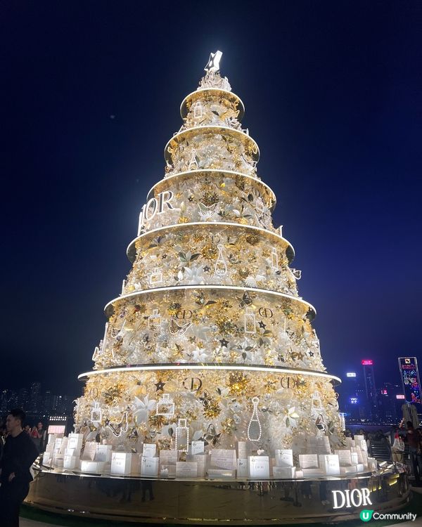 又到聖誕…梗係要同聖誕樹🎄影多啲靚相!今年各大品牌xMall