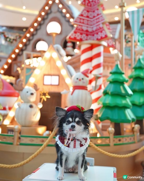 新都城中心❄️