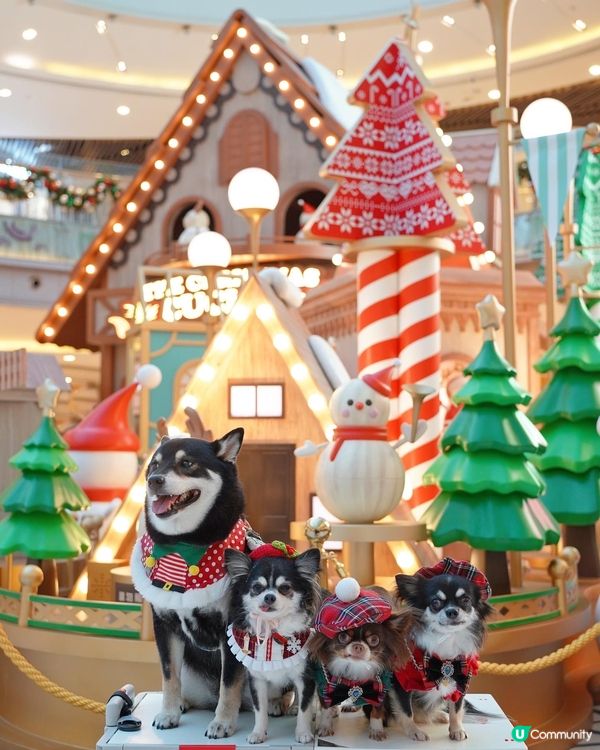 新都城中心❄️