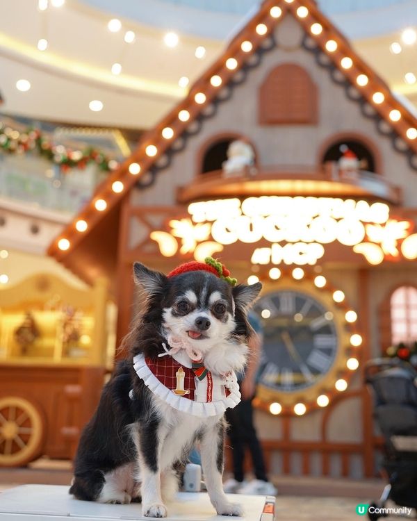 新都城中心❄️