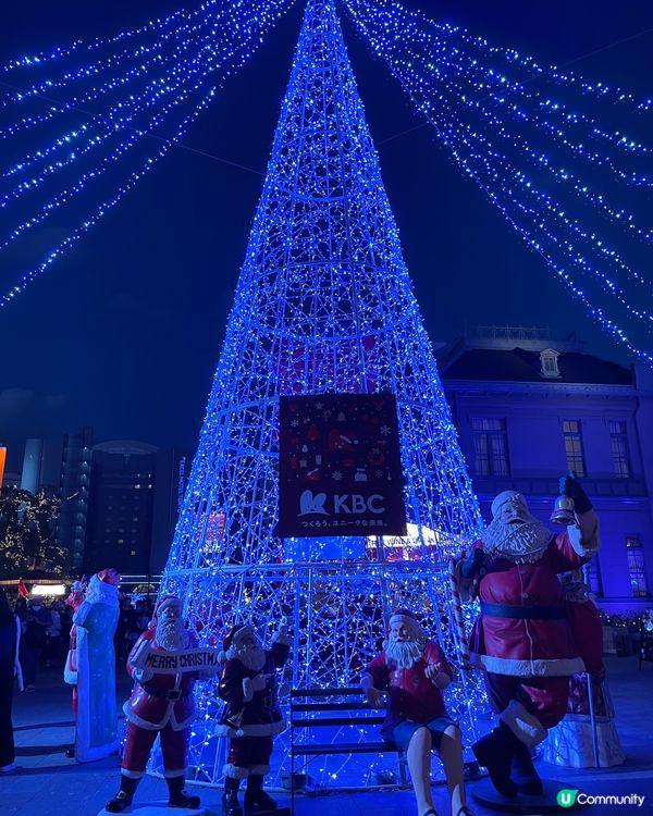 火樹銀花聖誕氣氛濃