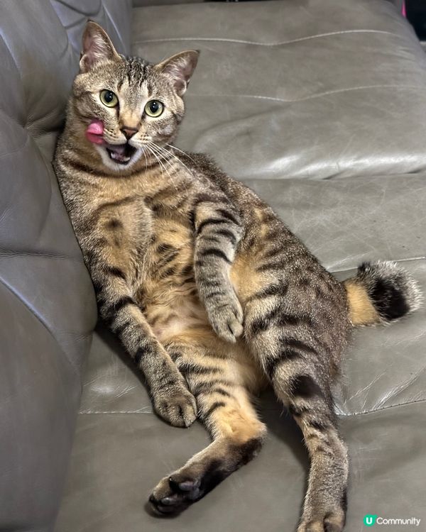 媽咪出賣我色相