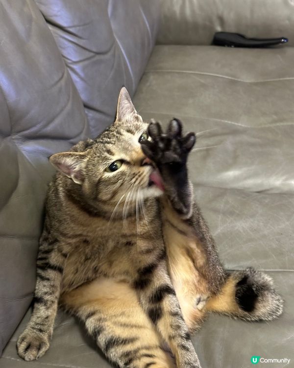 媽咪出賣我色相