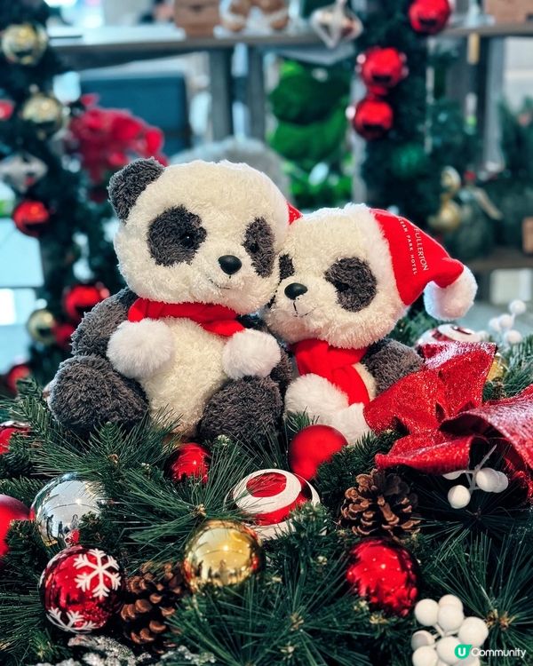 🎄 三訪! 冬日魚子矜貴下午茶新登埸