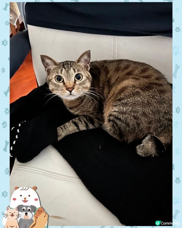 媽咪冬至要OT？