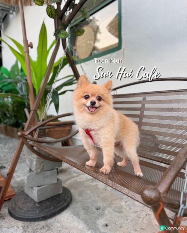 📍屯門｜村裡的綠色小屋🛖寵物友善咖啡店