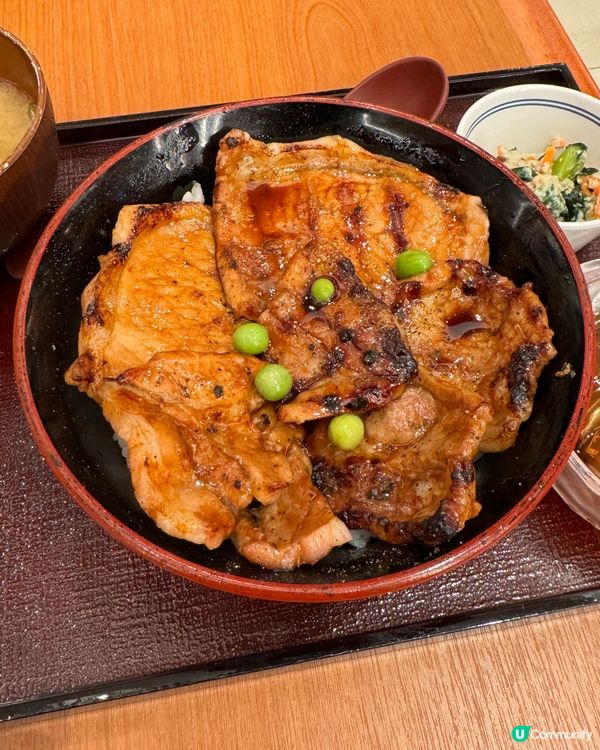 十勝帶廣名物豚丼