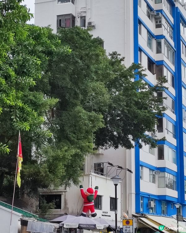 感受聖誕節日好氣氛