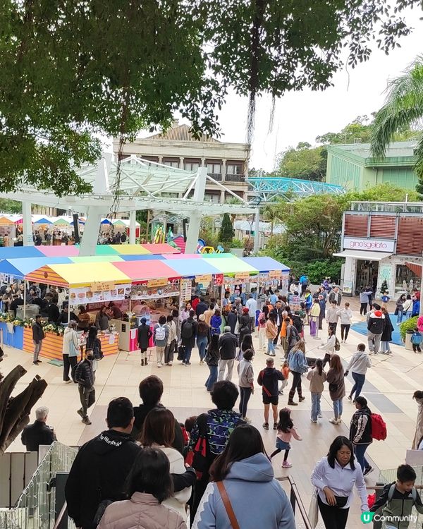 感受聖誕節日好氣氛