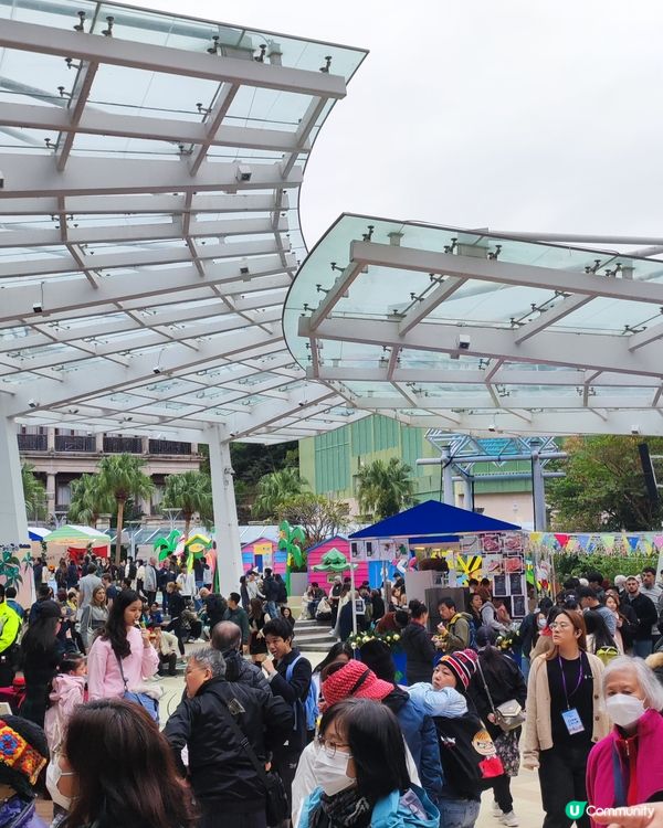 感受聖誕節日好氣氛