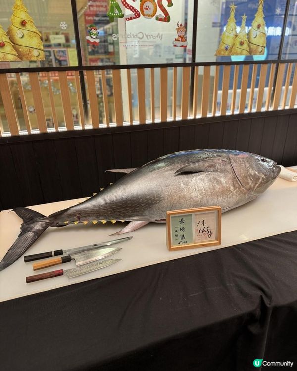 📌 大角咀│鮨樂│海鮮盛宴大飽口福