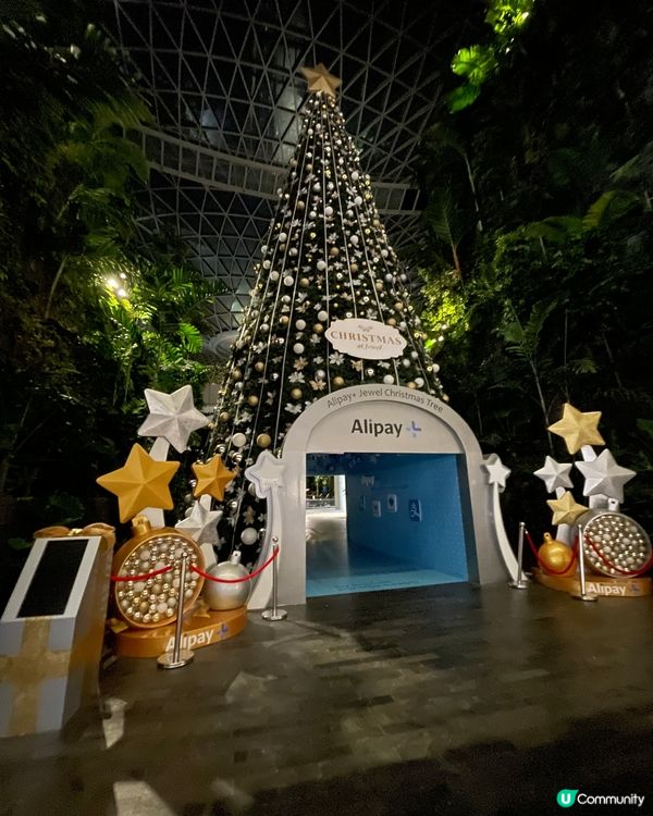 2023年過個夏日的聖誕吧！ 