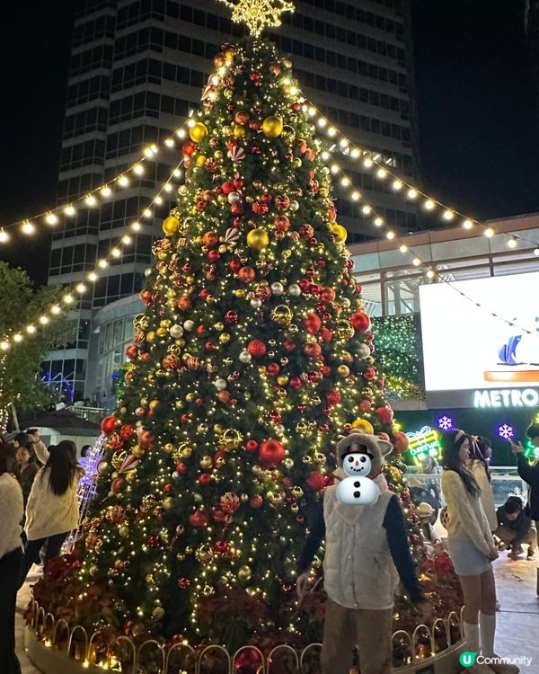 浪漫聖誕波波花海