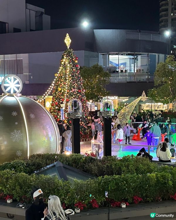 浪漫聖誕波波花海