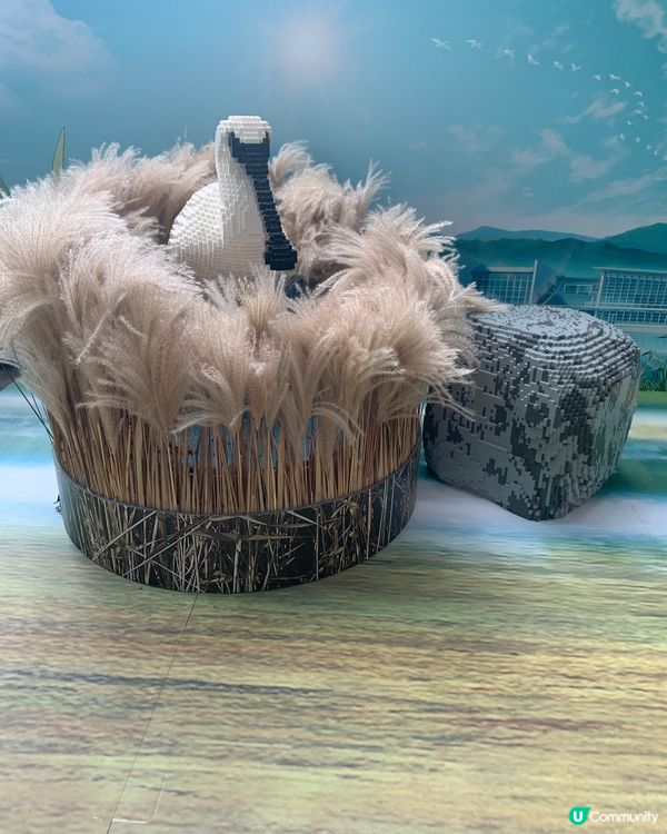 久違的濕地公園