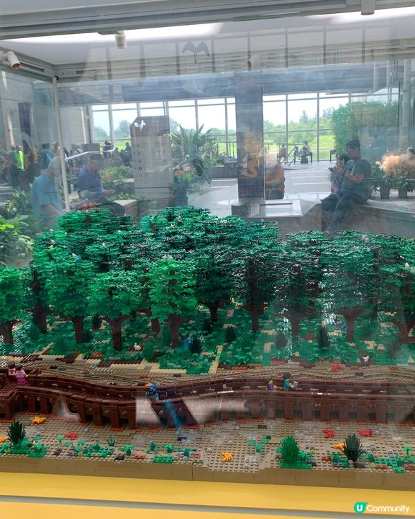 久違的濕地公園