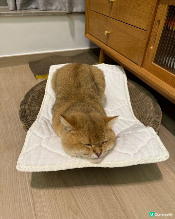 𝐇𝐨𝐦𝐞 𝐬𝐰𝐞𝐞𝐭 𝐡𝐨𝐦𝐞 💖