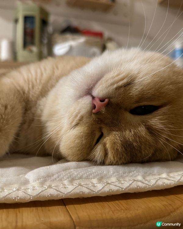 𝐇𝐨𝐦𝐞 𝐬𝐰𝐞𝐞𝐭 𝐡𝐨𝐦𝐞 💖