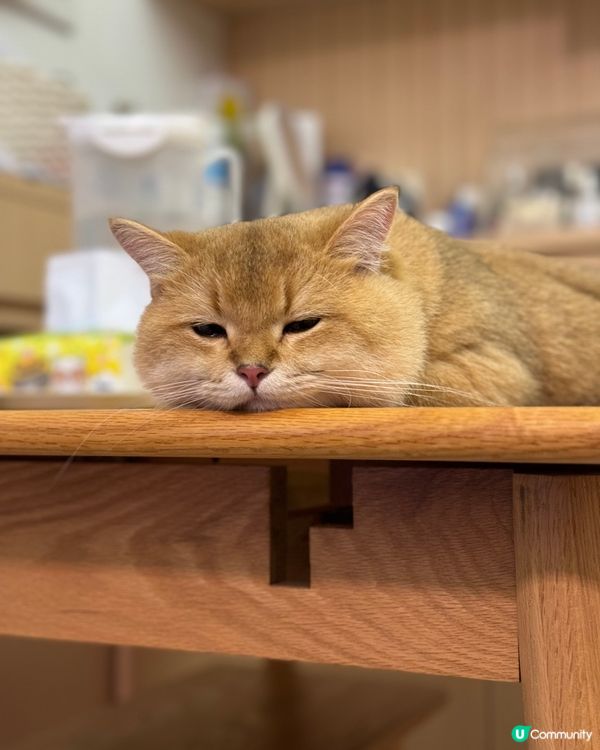 𝐇𝐨𝐦𝐞 𝐬𝐰𝐞𝐞𝐭 𝐡𝐨𝐦𝐞 💖