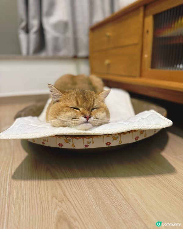 𝐇𝐨𝐦𝐞 𝐬𝐰𝐞𝐞𝐭 𝐡𝐨𝐦𝐞 💖